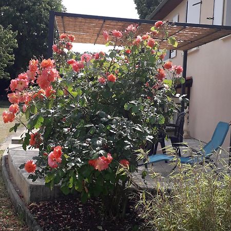 Bed and Breakfast La Salamandre De Chazelles 16 Екстер'єр фото