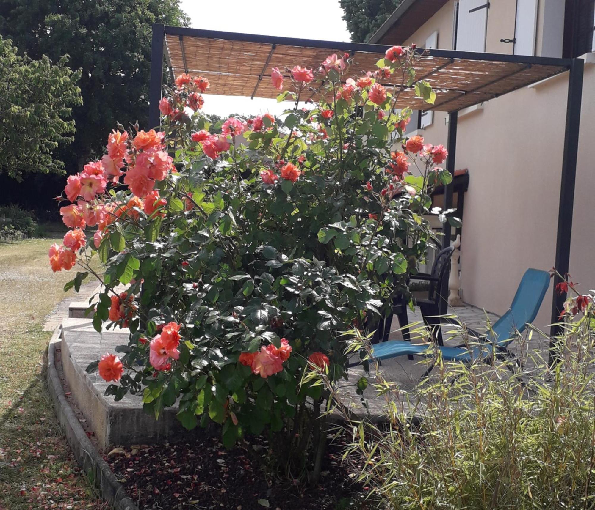 Bed and Breakfast La Salamandre De Chazelles 16 Екстер'єр фото